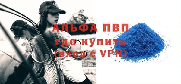стафф Инта