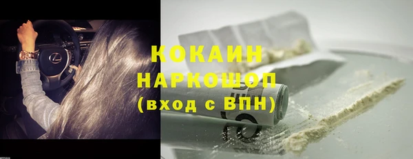 стафф Инта