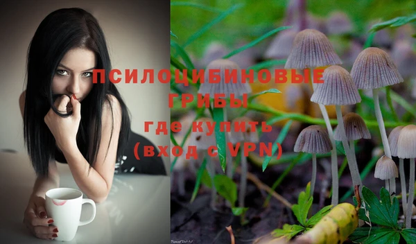 а пвп мука Иннополис