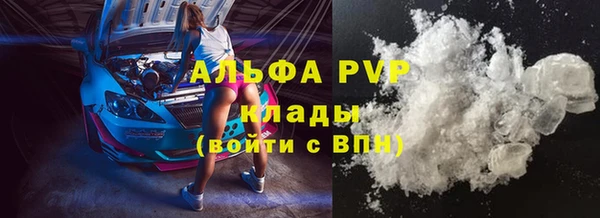 стафф Инта